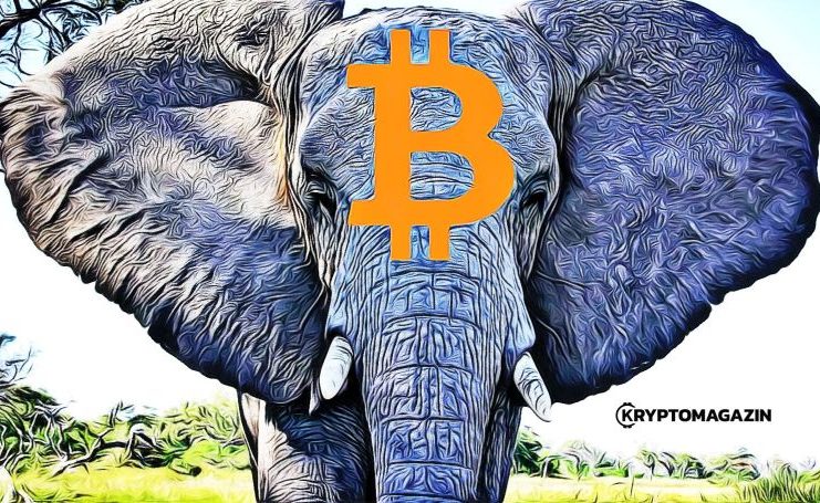 elephant bitcoin