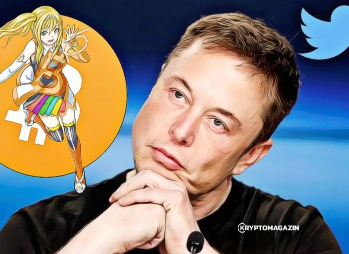 elon musk twitter bitcoin elon musk twitter bitcoin