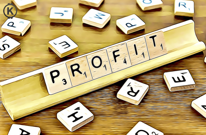 investuj profit, zisk