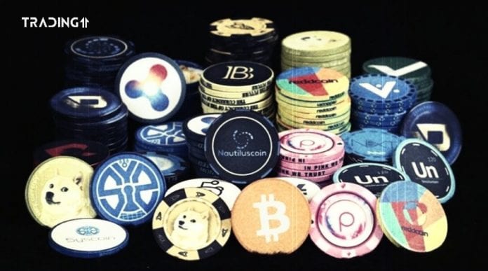 crypto anketa trading11 crypto anketa trading11