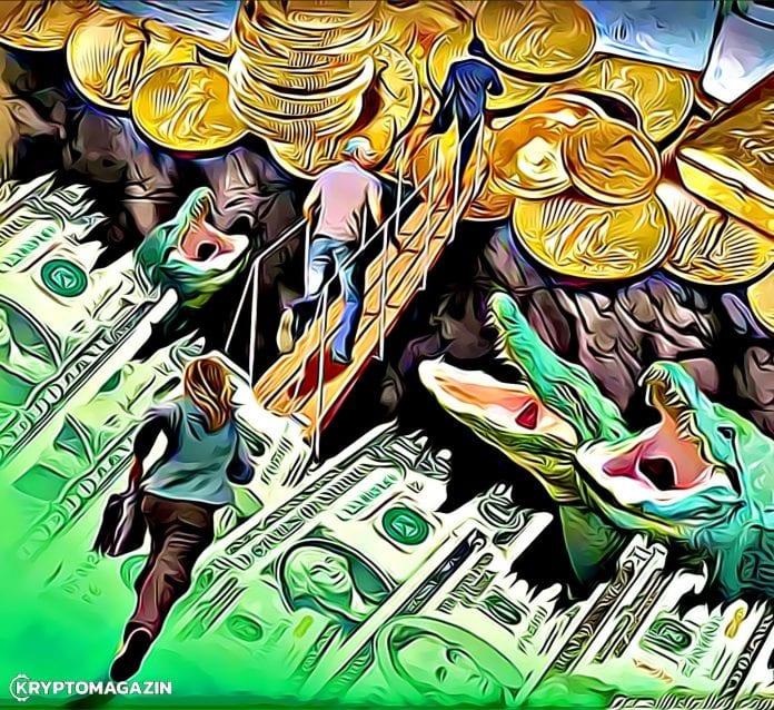 BTC whales wallet BTC whales wallet