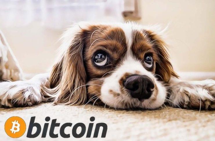 bitcoin pes smutny