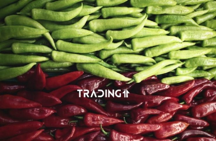 MACD zelena cervena analyza trading11