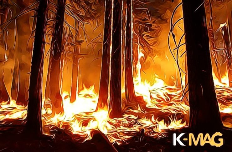 Amazonský prales - požiar