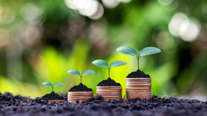 Ako na úspešné investovanie, zdroj: shutterstock.com/MEE KO DONG Ako na úspešné investovanie