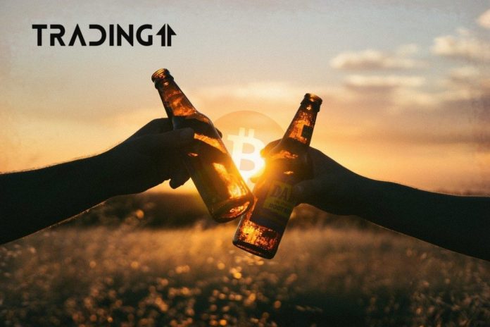 BTC-Bitcoin-rast-up-oslava-celebration BTC-Bitcoin-rast-up-oslava-celebration
