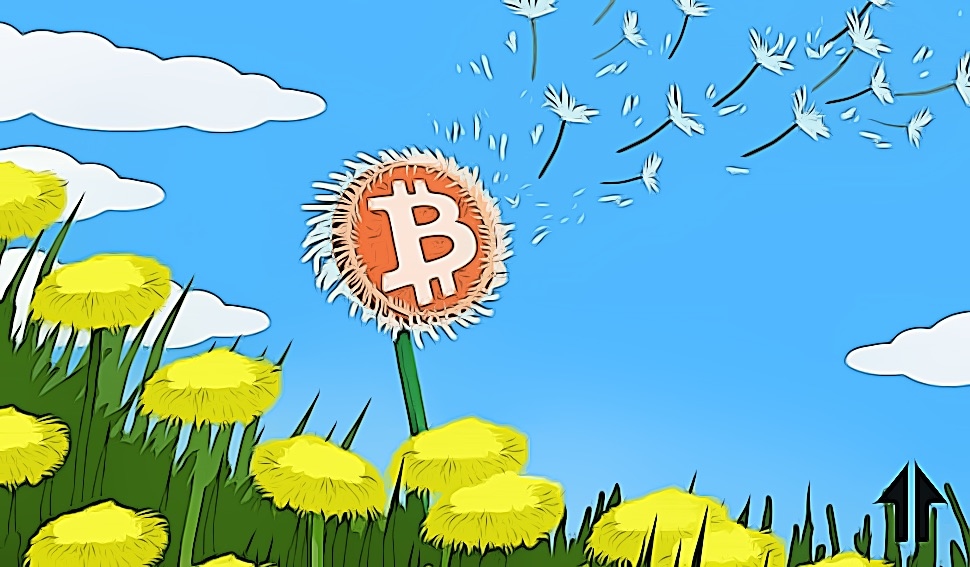 bitcoin dandelion