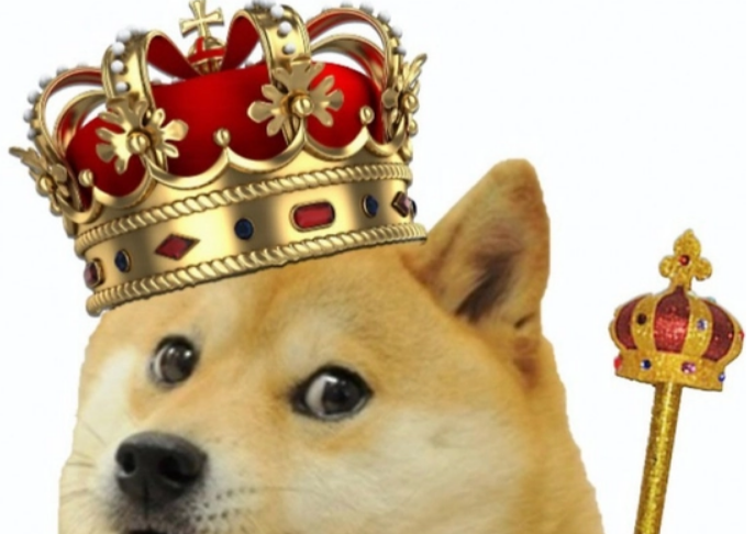 doge coin its good to be king