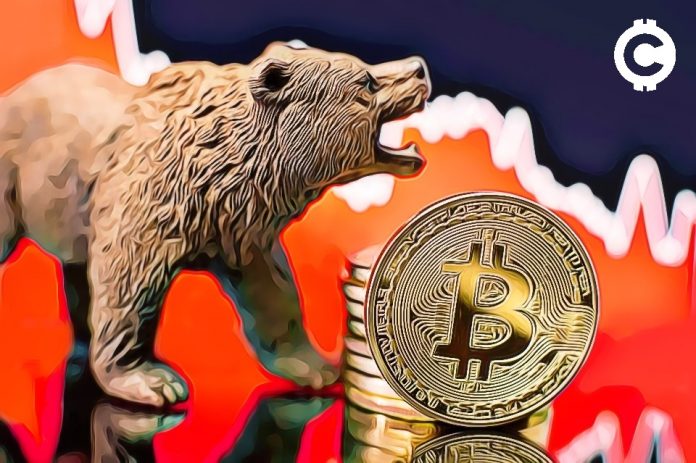 Bitcoin-bear-market-red_dump Mike Novogratz