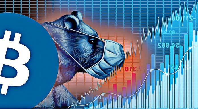 akcie padaju medved bitcoin koronavirus akcie padaju medved bitcoin koronavirus