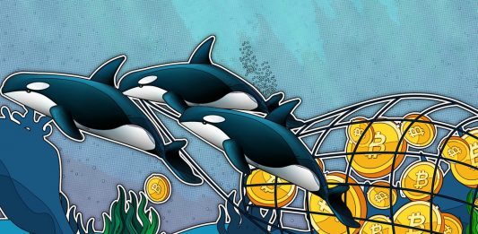 BITCOIN-WHALES-QUIETLY-STOCKPILED-150K-BTC-IN-LAST-TWO-MONTHS