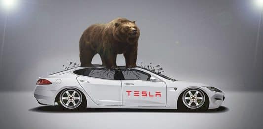 Tesla bear market