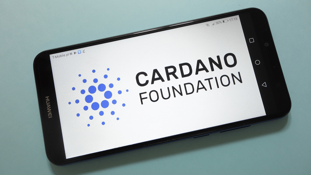 Cardano Foundation bude mať nového šéfa