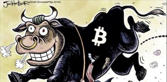 Bitcoin bull high
