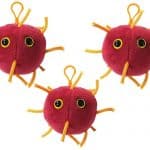 koronavirus-kľúčenka