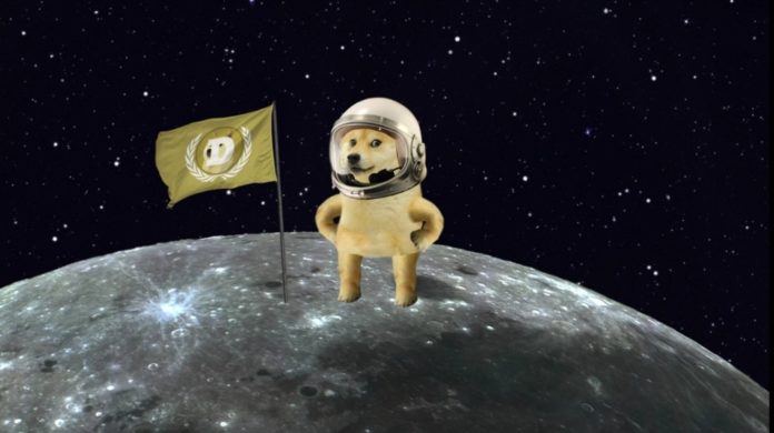 DOGE DOGE