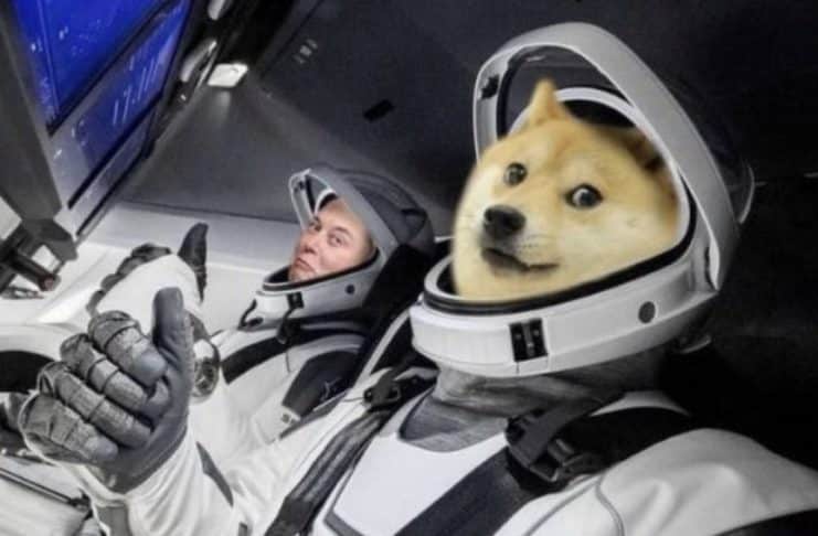Elon Musk a DOGE