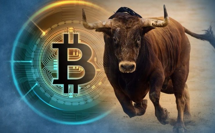 bitcoin bull