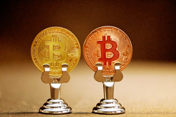 Bitcoin_double BTC Bitcoin