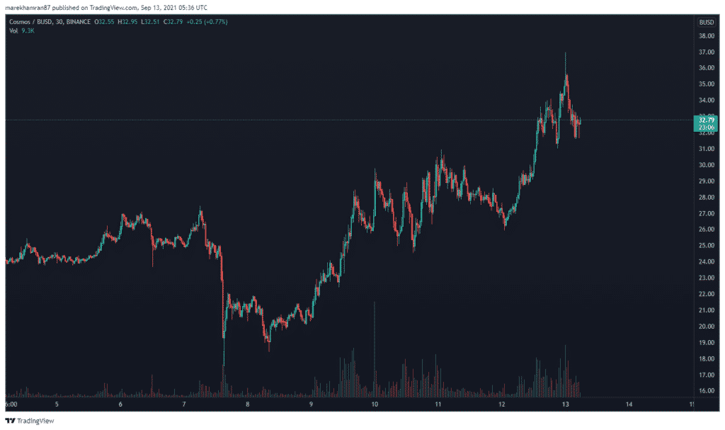 polkadot, Polkadot, Tezos a Cosmos – který projekt je perspektivnější?, TRADING11