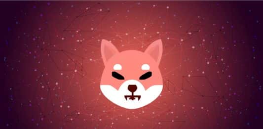 Shiba Inu s obrovským rastom