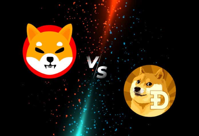 DOGE vs. SHIB. Zdroj: Google DOGE vs. SHIB