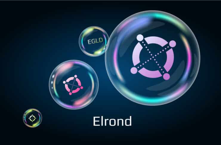 Blockchain Elrond