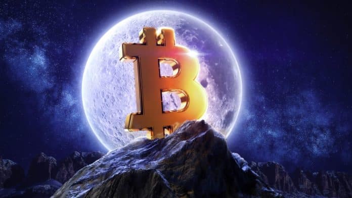 Kde ukončí BTC svoj cyklus. Zdroj: Shutterstock.com/Volodymyr Yarema Kde ukončí BTC svoj cyklus