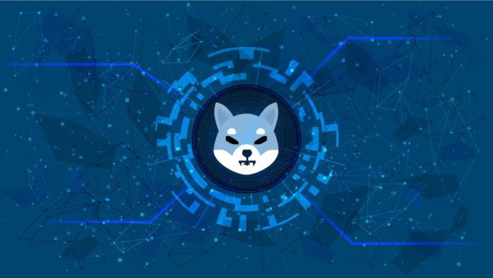 Shiba Inu. Zdroj: Shutterstock, Vladimir Kazakov Shiba Inu klesá