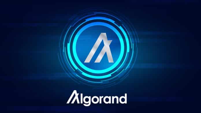 Bude projekt Algorand Googlom vo svete kryptomien? Zdroj: Shutterstock, BeNeDak Bude projekt Algorand Googlom vo svete kryptomien?
