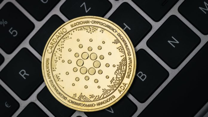 Cardano má v roku 2022 pokračovať vo vývoji. Zdroj: Shutterstock, Dennis Diatel Cardano má v roku 2022 pokračovať vo vývoji