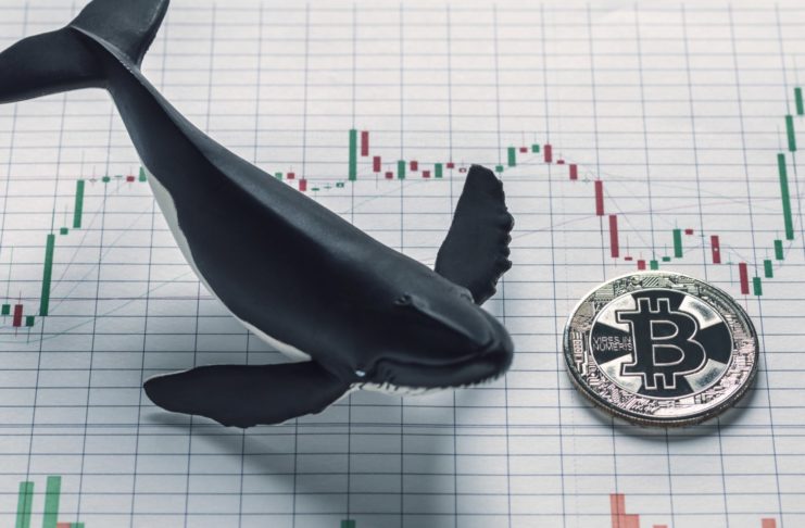 Veľryby BTC nepredávajú