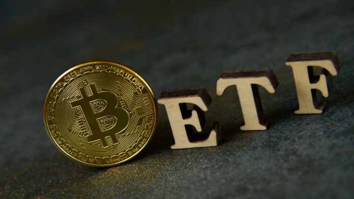 BTC ETF láme rekordy. Zdroj: Shutterstock.com/Volodymyr Plysiuk BTC ETF láme rekordy