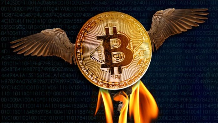 Čo spôsobilo, že Bitcoin rastie? Zdroj: Shutterstock.com/Kittyfly Čo spôsobilo, že Bitcoin rastie?