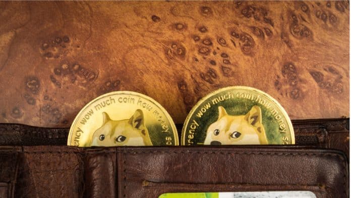 Na Ukrajine akceptujú už aj Dogecoin! ,zdroj: www.shutterstock.com/IgorFaun Na Ukrajine akceptujú už aj Dogecoin!