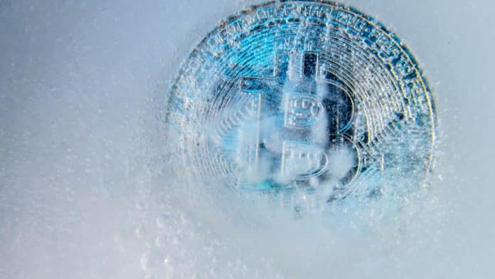 Medvedí trh a kryptozima , zdroj: www.shutterstock.com/JaCrispy Medvedí trh a kryptozima