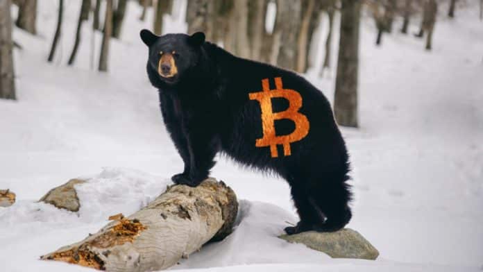 TOP 3 dôvody prečo Bitcoin padá. Zdroj: Shutterstock.com/Marc Bruxelle