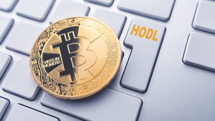 Bitcoin a onchain hodl metrika. Zdroj: Shutterstock.com/Velishchuk Yevhen Bitcoin a onchain hodl metrika