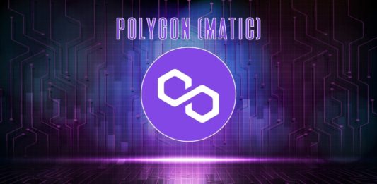 4 dôvody, prečo sledovať kryptomenu Polygon