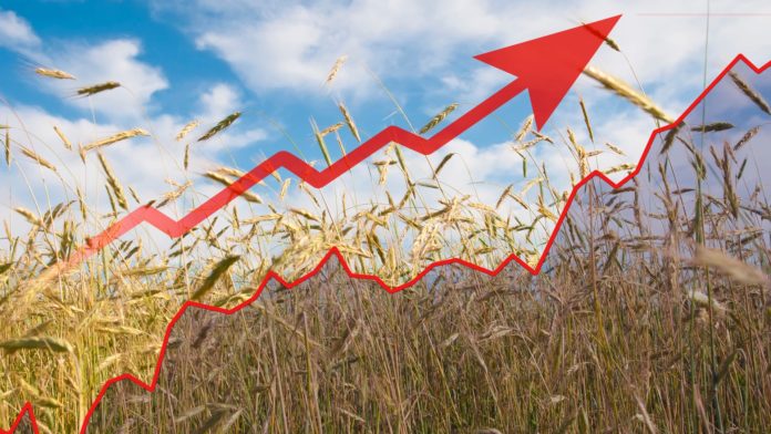 Ceny poľnohospodárskych výrobkov medziročne vzrástli o takmer 50 %. Zdroj: Shutterstock.com/foto.grafs Ceny poľnohospodárskych výrobkov medziročne vzrástli o takmer 50 %