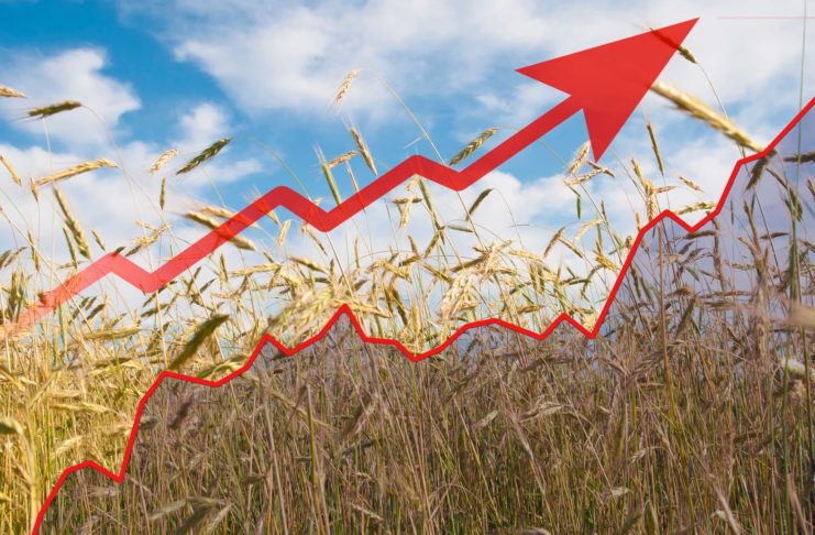 Ceny poľnohospodárskych výrobkov medziročne vzrástli o takmer 50 %