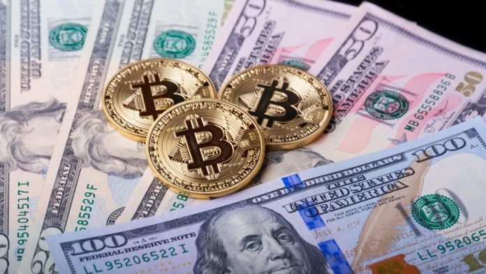 Fiat peniaze vs kryptomeny. Zdroj: shutterstock.com/AndreyShtanko Fiat peniaze vs kryptomeny