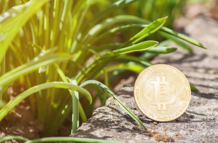 Uznávaný investor Mark Yusko: „Býči trh príde v roku 2024 keď nastane nový halving Bitcoinu"