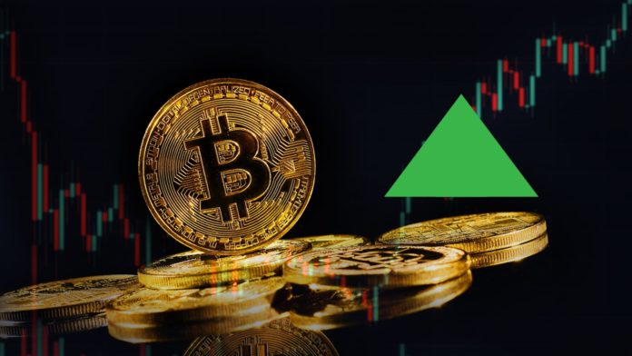 Bitcoin by mohol začať rásť. Zdroj: shutterstock.com/Jin Odin Bitcoin by mohol začať rásť