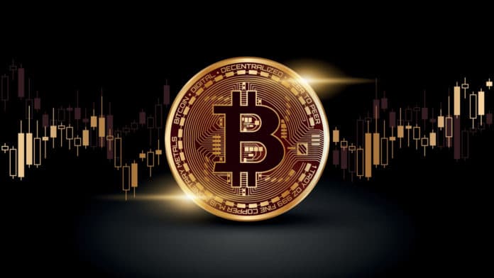 Bitcoin ako súčasť bankových rezerv. Zdroj: Shutterstock.com/Designs Beast Bitcoin ako súčasť bankových rezerv