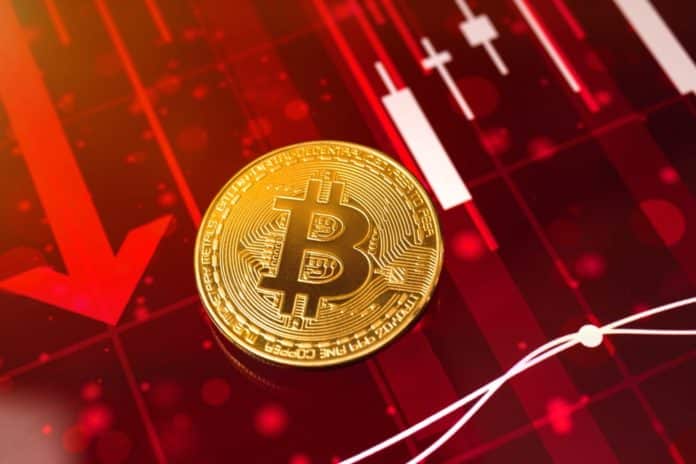 Bitcoin na 5000 dolárov. Zdroj: shutterstock.com/FellowNeko Bitcoin na 5000 dolárov