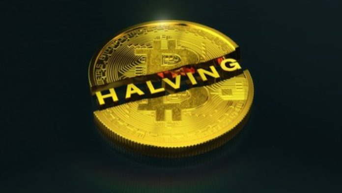Halving a vplyv a cenu. Zdroj: Shutterstock.com/marog - pixcells Halving a vplyv a cenu