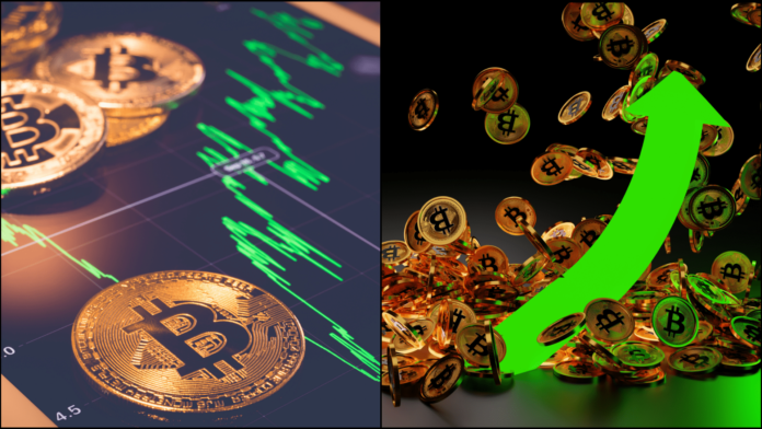Bitcoin potvrdil konečné dno. Zdroj: shutterstock.com/vinnstock/nuttapon averuttaman Bitcoin potvrdil konečné dno.