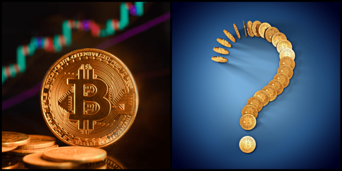 Bude bitcoin pokračovať v raste? Zdroj: shutterstock.com/Wit Olszewski/AlyoshinE Bude bitcoin pokračovať v raste?