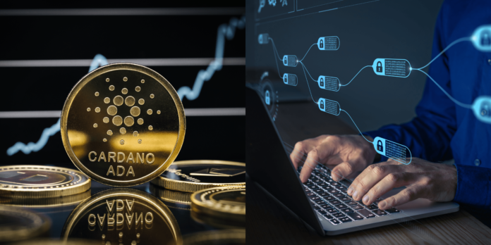 Cardano čelí kritike. Zdroj: Shutterstock.com/Dennis Diatel/NicoElNino Cardano čelí kritike